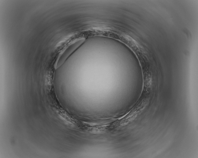 X0000111191110200907221103