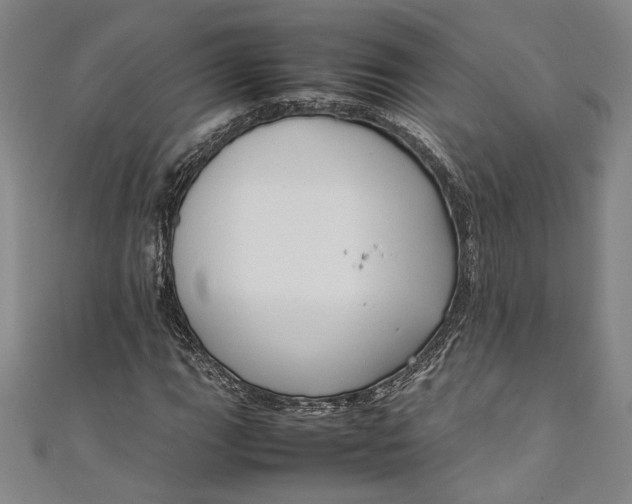 X0000111191111200907221103