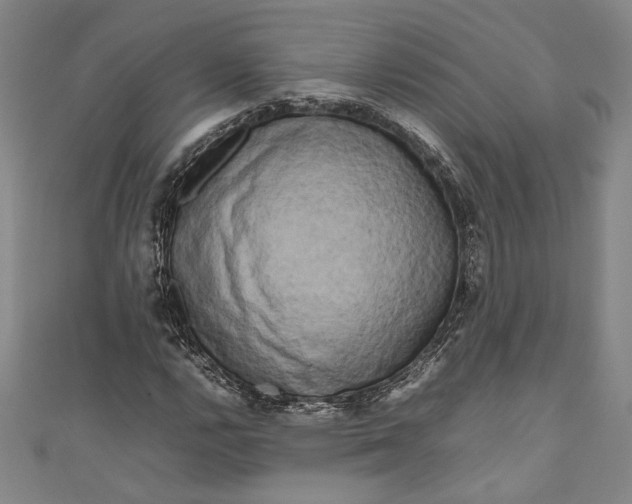 X0000111191112200907221103