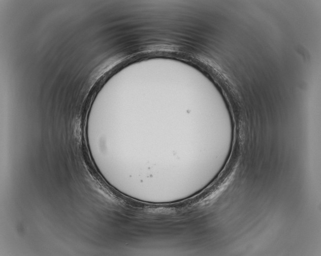 X0000111191113200907221103