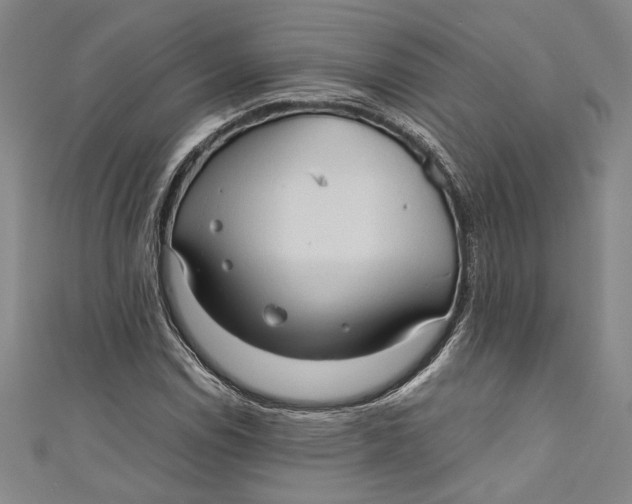 X0000111191114200907221103