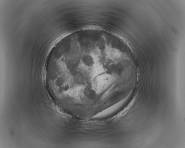 X0000111191117200907221103