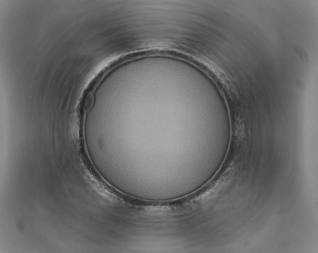 X0000111191118200907221103