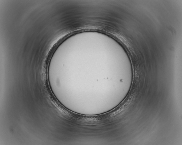 X0000111191119200907221103