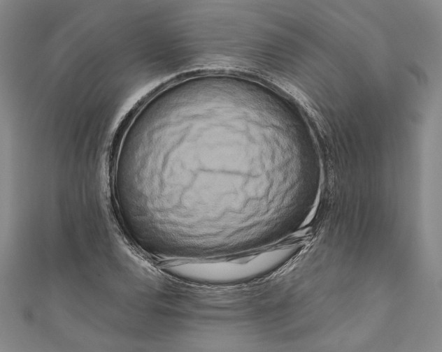 X0000111191120200907221103