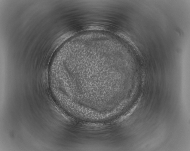 X0000111191121200907221103