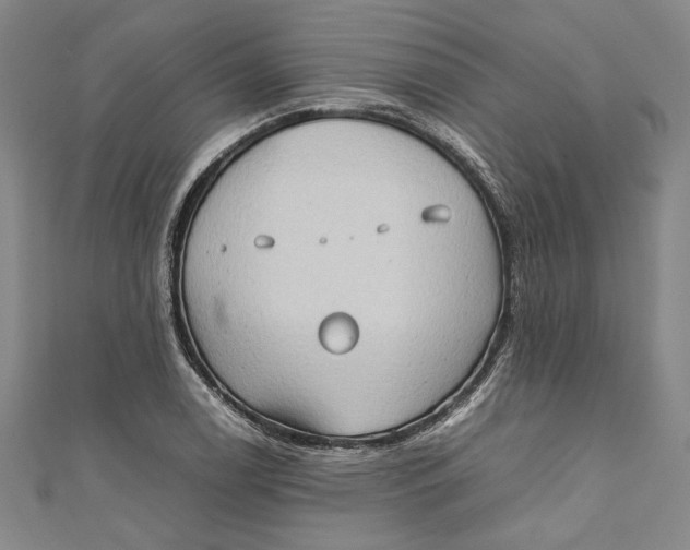 X0000111191122200907221103