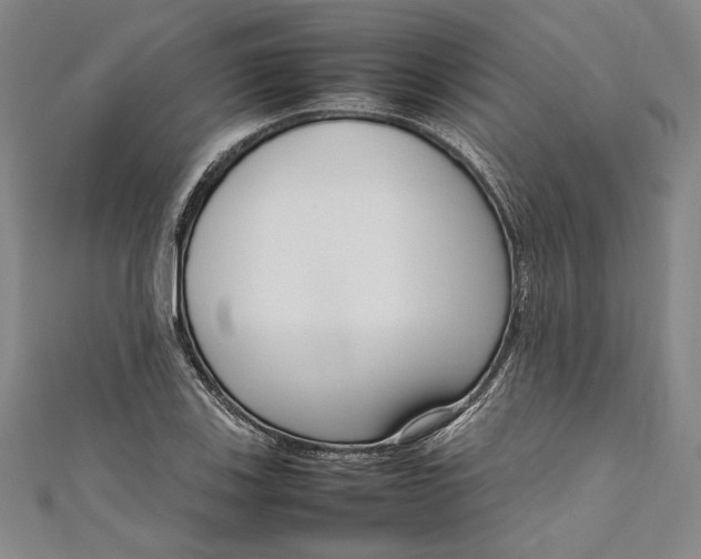 X0000111191123200907221103