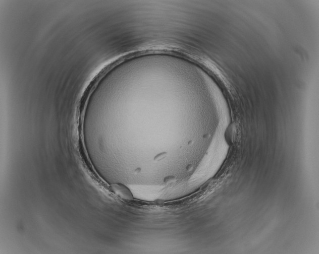 X0000111191124200907221103