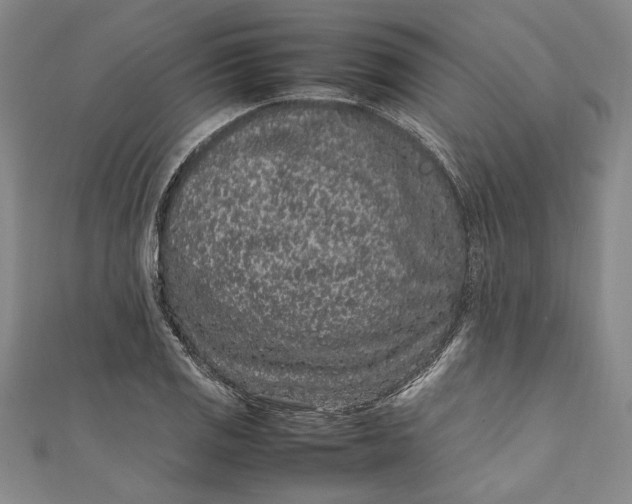 X0000111191125200907221103