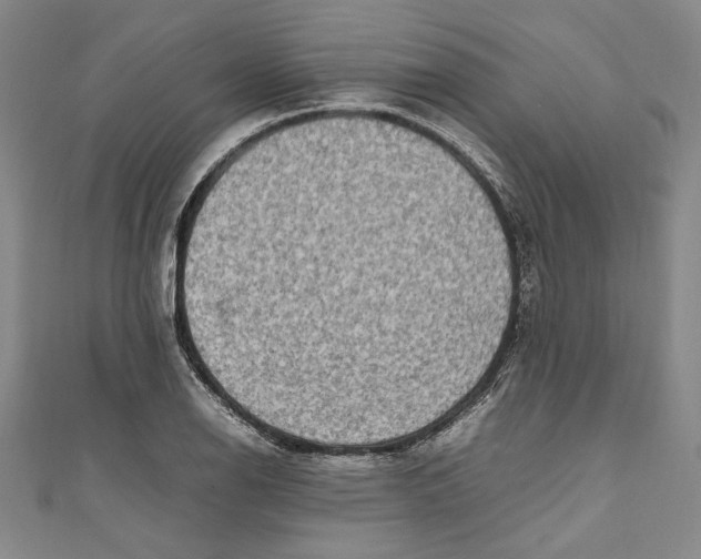 X0000111191126200907221103