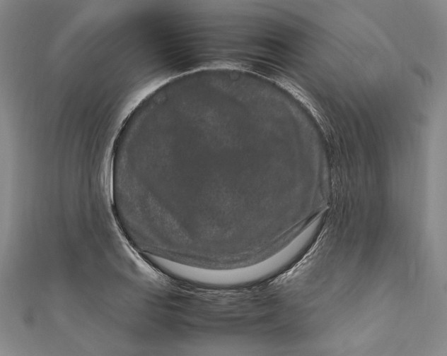 X0000111191127200907221104