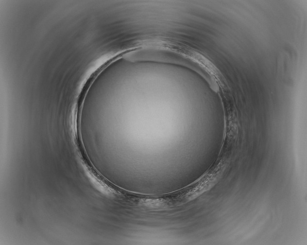 X0000111191128200907221104