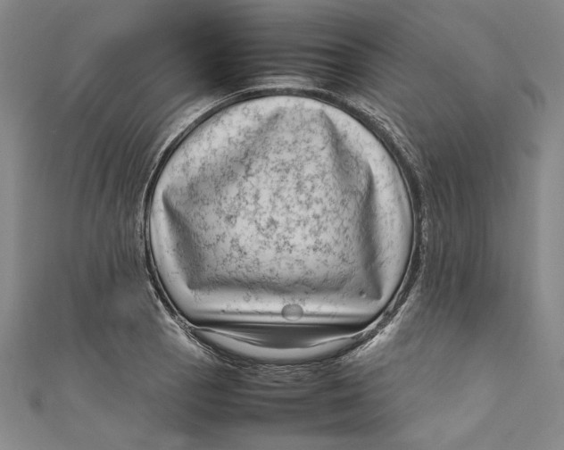 X0000111191129200907221104