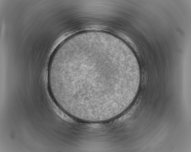 X0000111191130200907221104