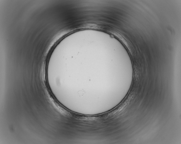 X0000111191131200907221104