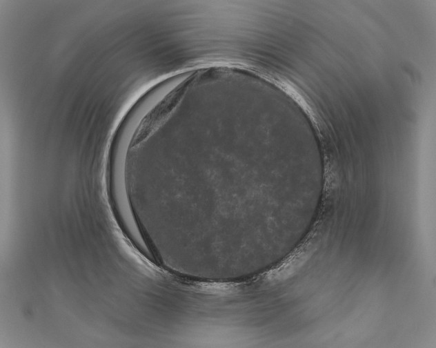 X0000111191132200907221104