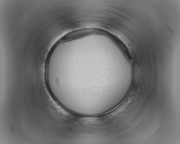 X0000111191134200907221104