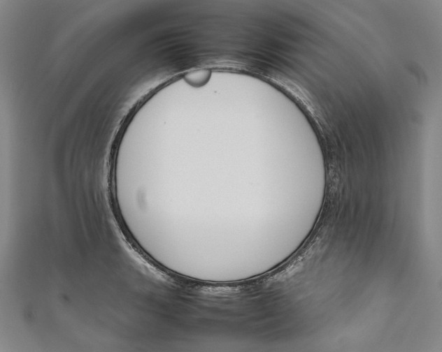 X0000111191135200907221104