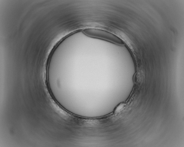 X0000111191136200907221104