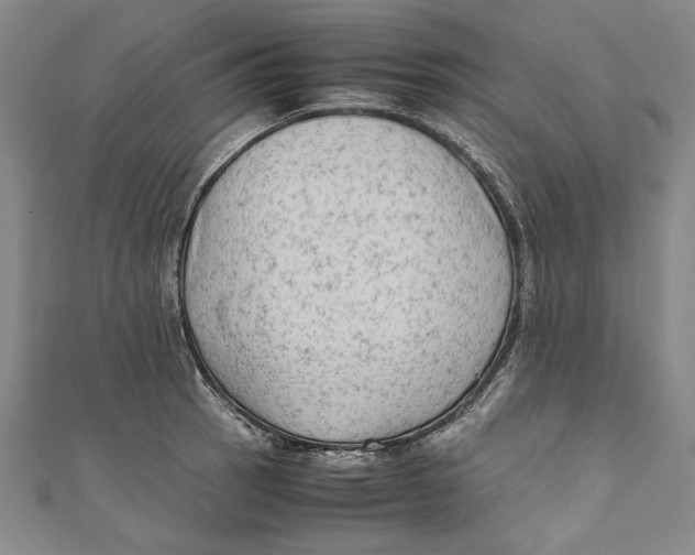 X0000111191137200907221104