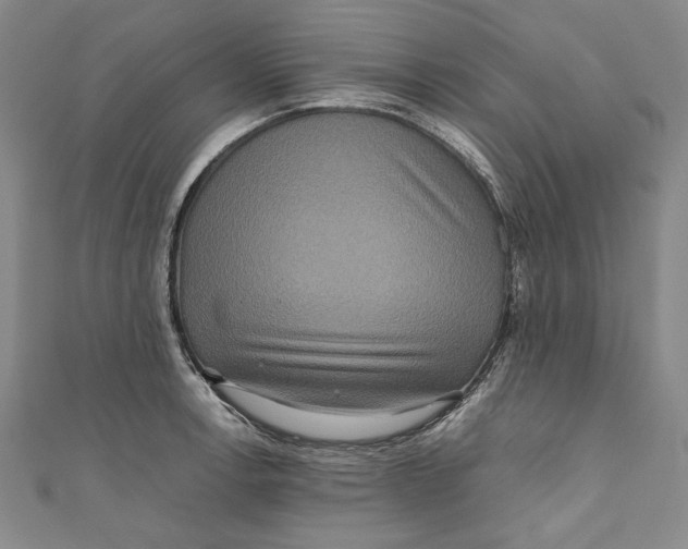 X0000111191138200907221104