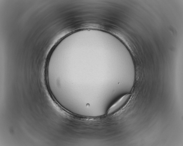 X0000111191139200907221104