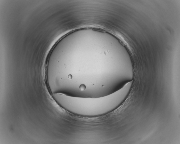 X0000111191140200907221104