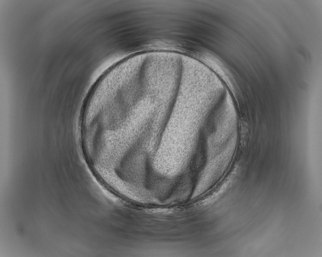 X0000111191141200907221104