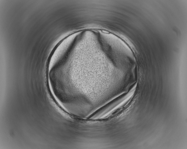 X0000111191142200907221104