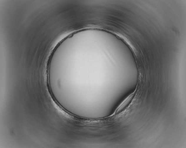 X0000111191143200907221104