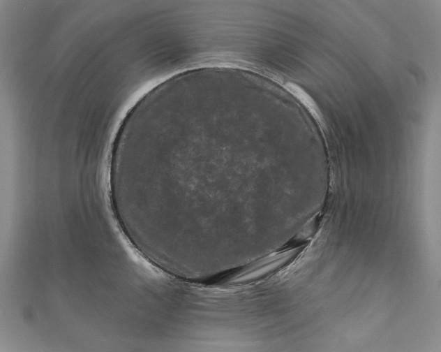 X0000111191144200907221104