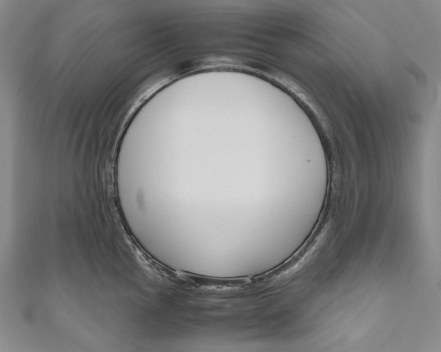 X0000111191145200907221104