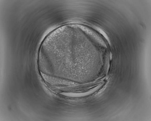 X0000111191146200907221104