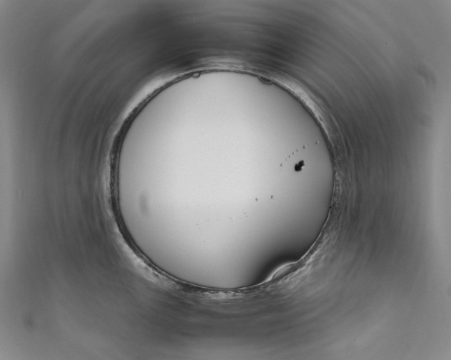 X0000111191147200907221104