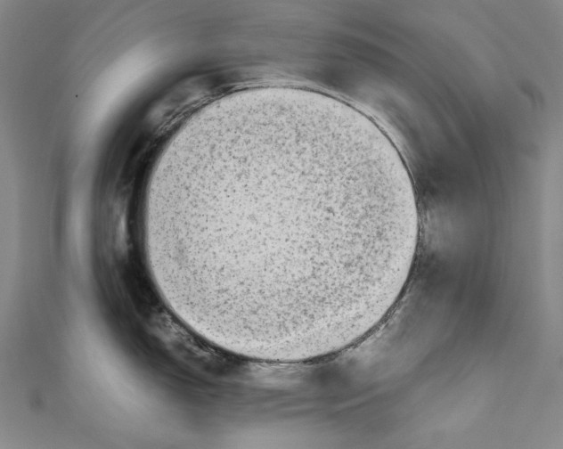 X0000111191150200907221104