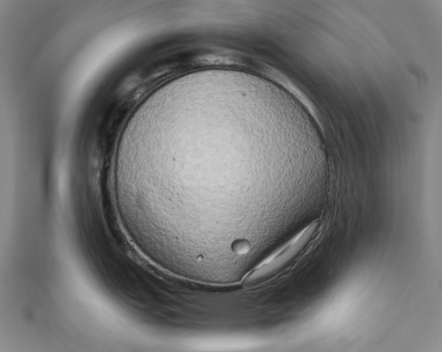 X0000111191151200907221104