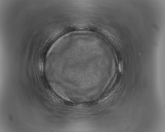 X0000111191155200907221103