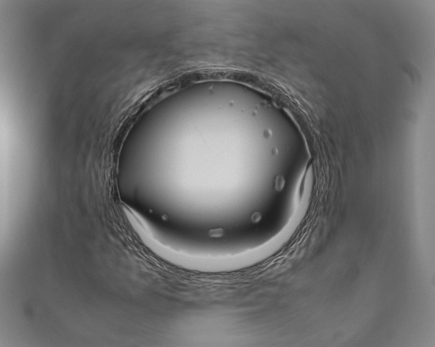 X0000111191157200907221103