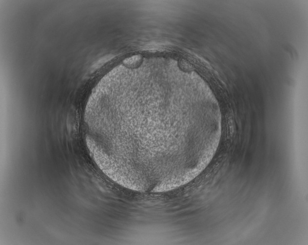 X0000111191158200907221103