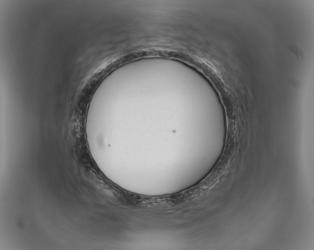 X0000111191159200907221103