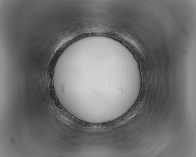 X0000111191160200907221103