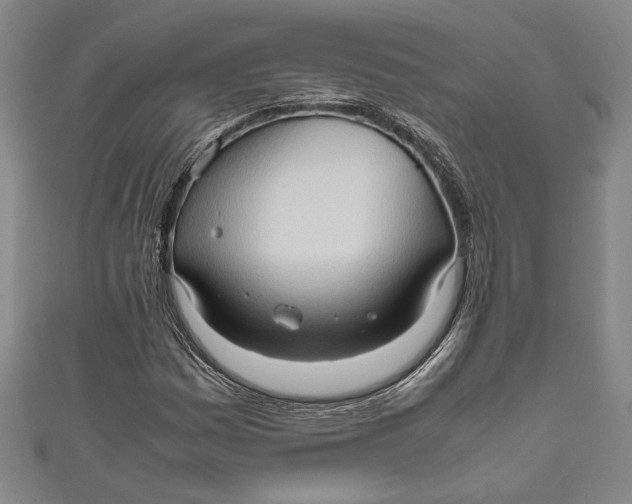 X0000111191161200907221103