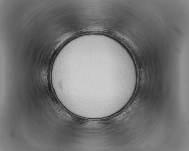 X0000111191162200907221103