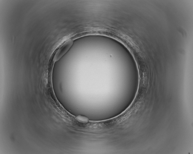 X0000111191165200907221103