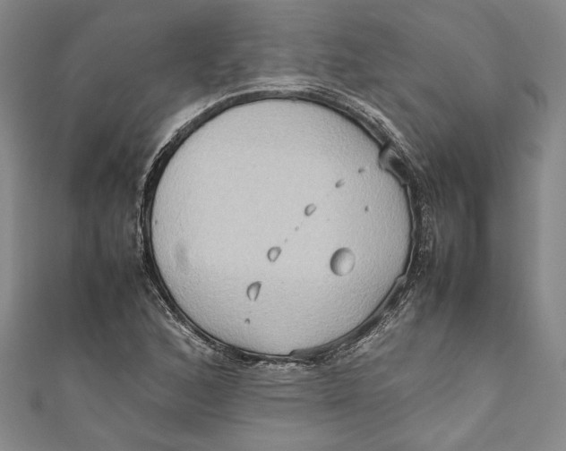 X0000111191168200907221103