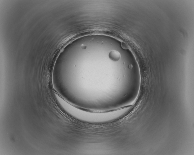 X0000111191169200907221103