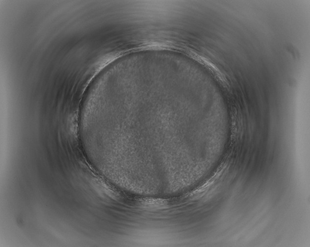 X0000111191170200907221103