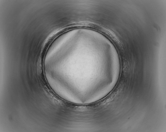 X0000111191172200907221103