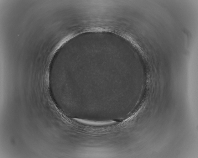 X0000111191173200907221103